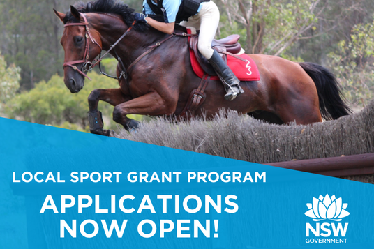 GRANT PROGRAM A ‘SLAM DUNK’ FOR LOCAL SPORTING ORGANISATIONS icon