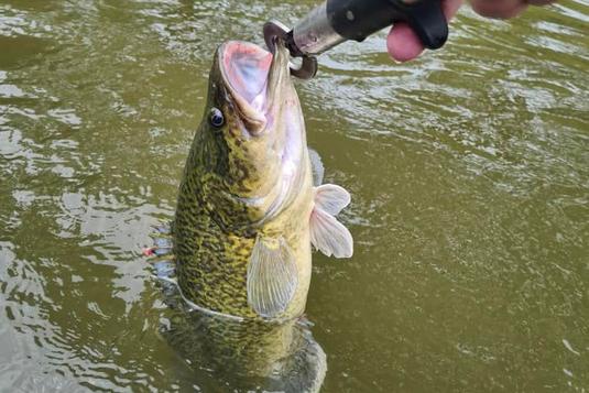 REELING IN FISHERS FOR THIS YEAR’S ‘GONE FISHING DAY’ icon