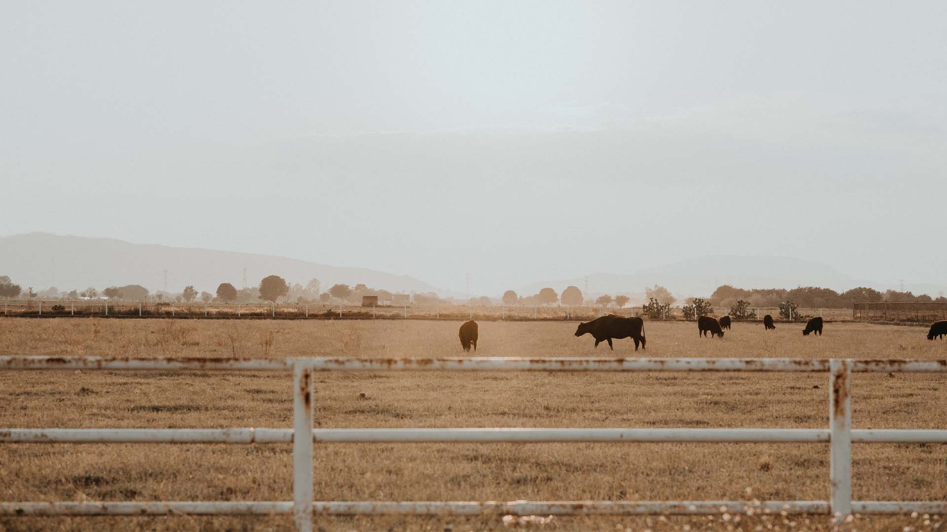 Residential Farm at Burren Junction  splash graphic