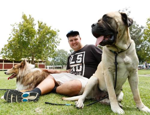 Matching dogs and new friends – Newcastle Herald image
