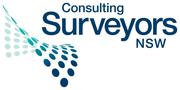 consulting surveyors logo