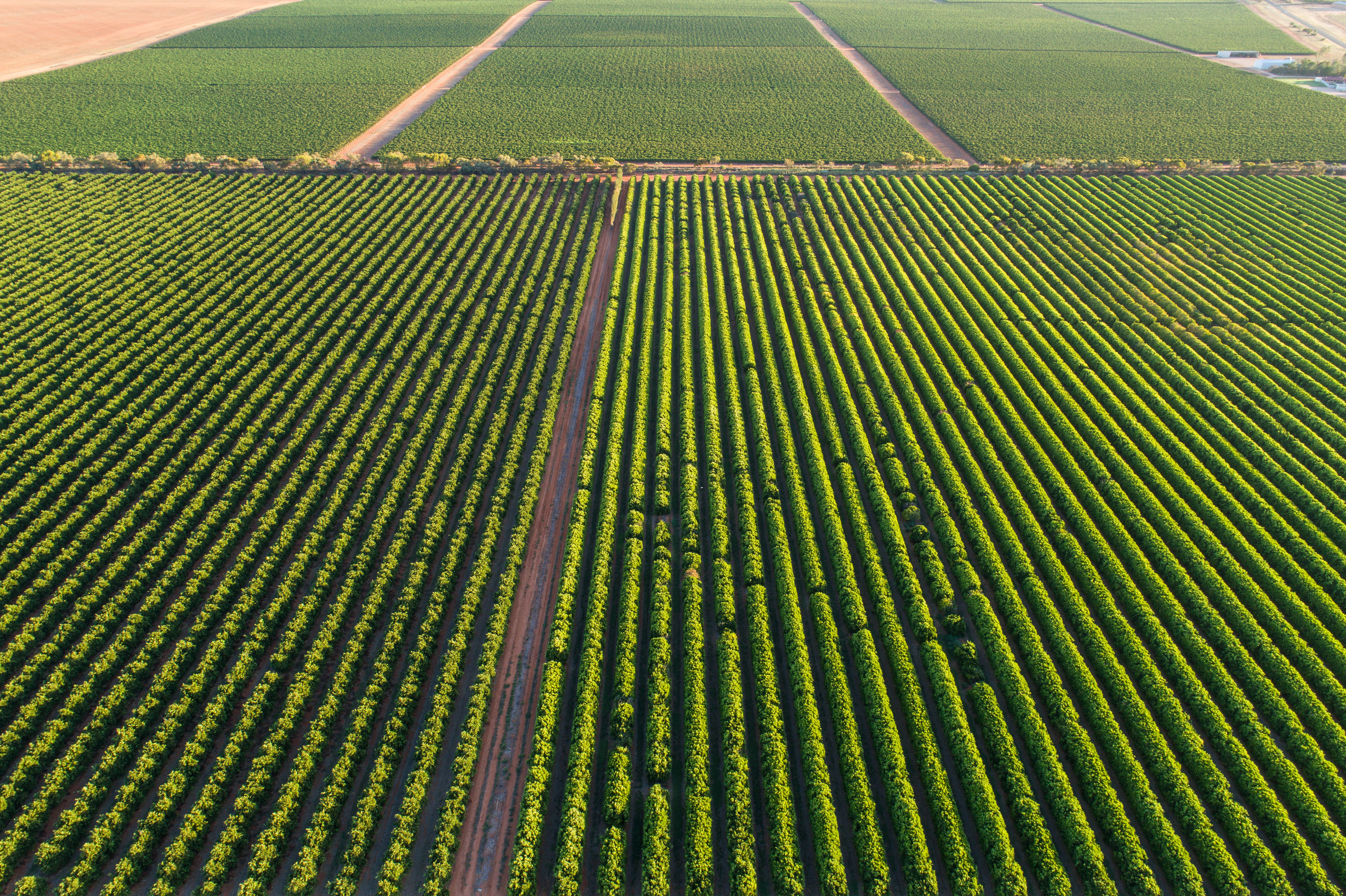 Australian farmers have had their say, now it’s up to us to listen Icon