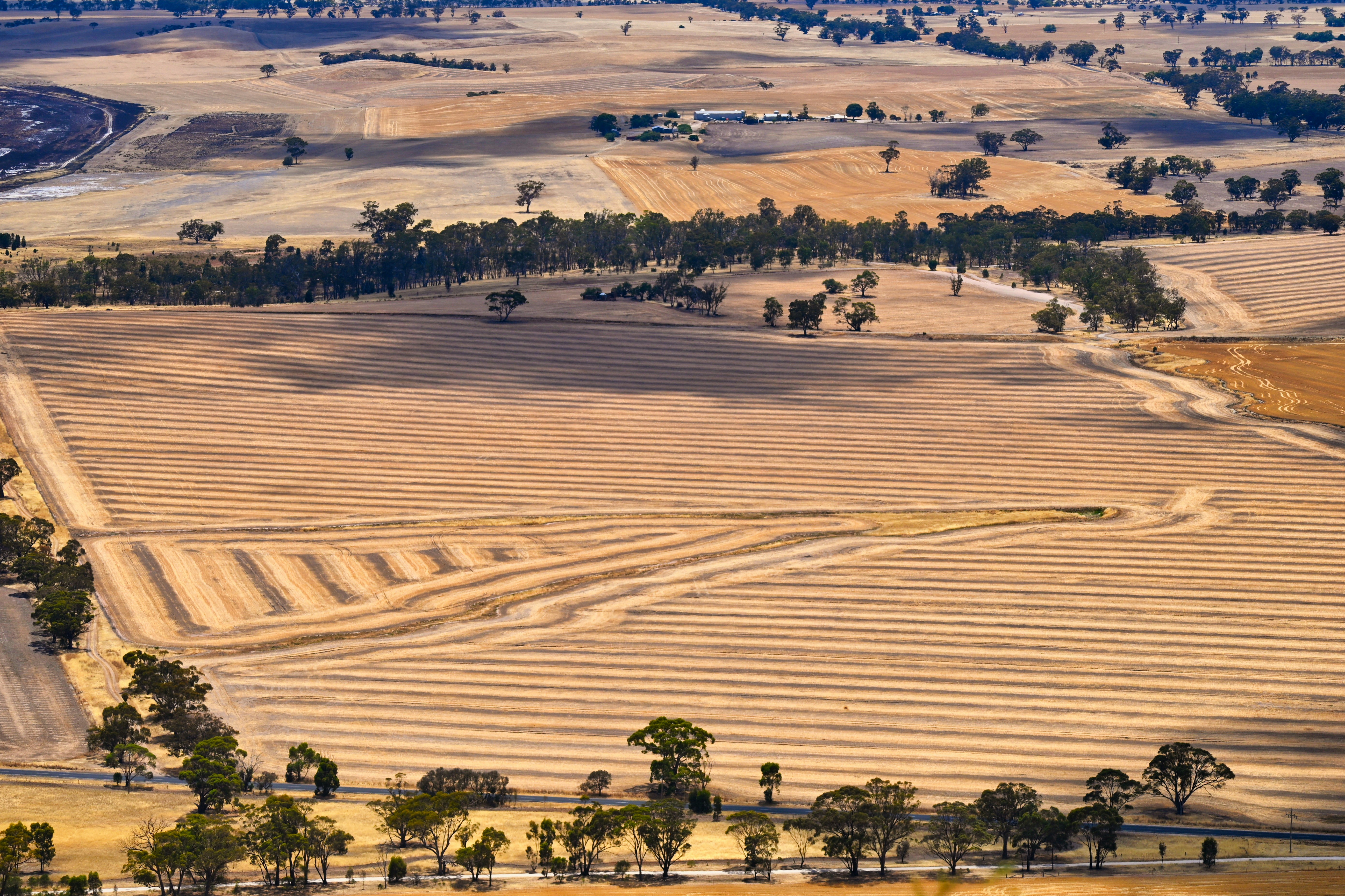 Hopes that new Green Paper will green-light action on overdue food security strategy for nation Icon