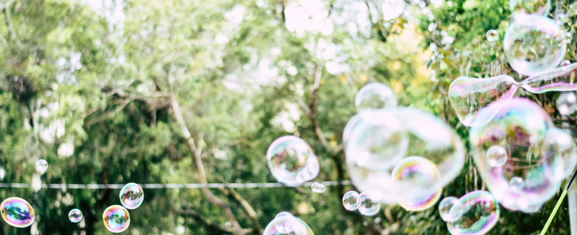 Gallery splash image