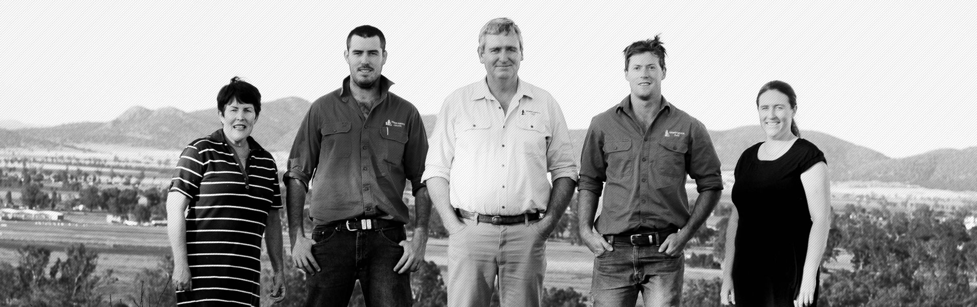 our-team-stewart-surveys