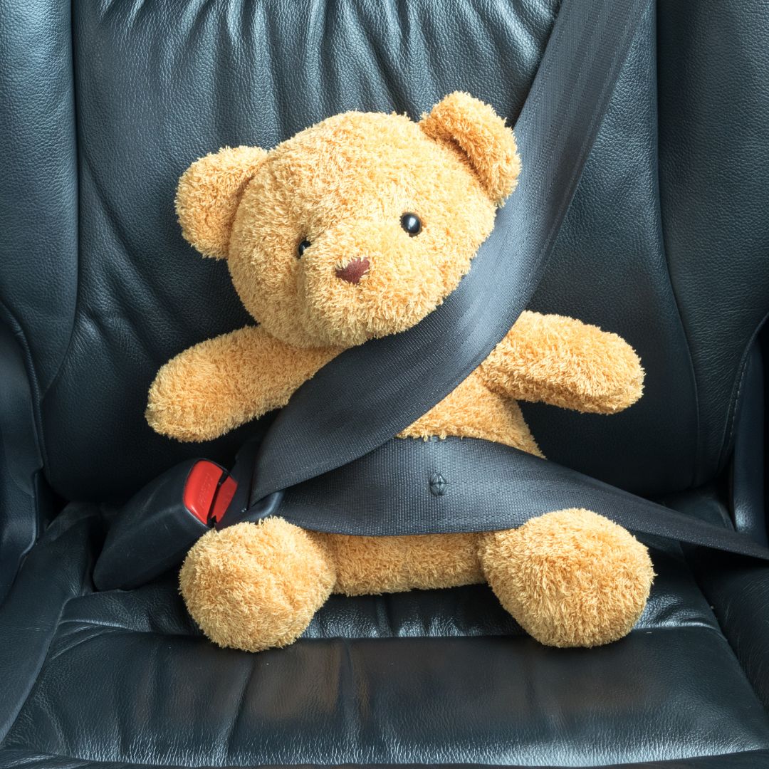 Teddy bear with seatbelt