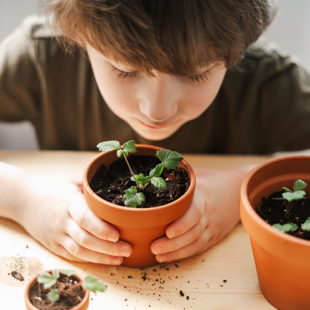 Boy with plant