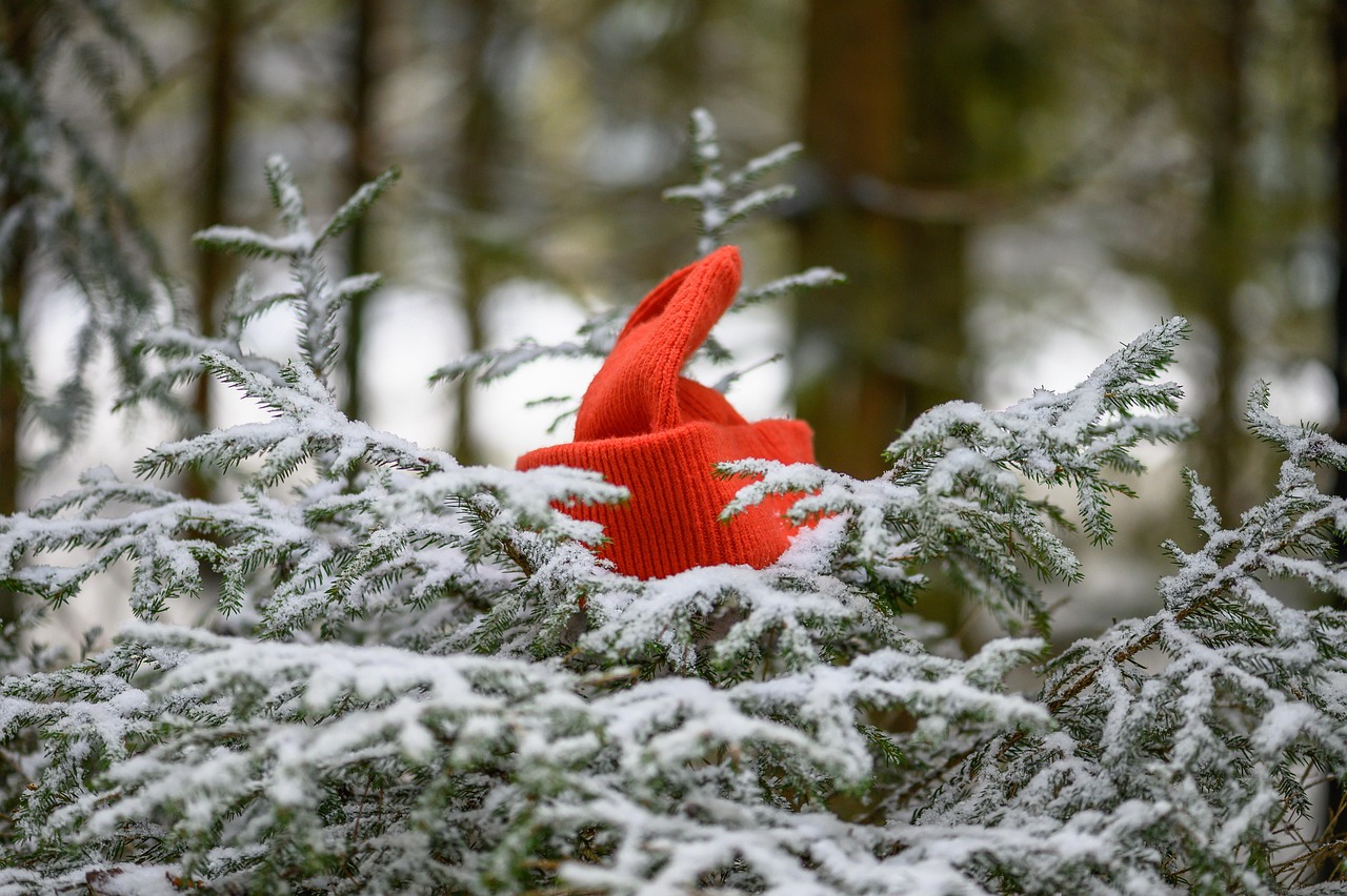 Cozy Red Knit Beanie