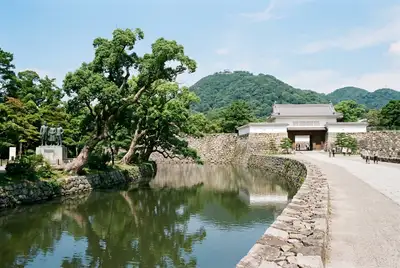 第七高等学校造士館