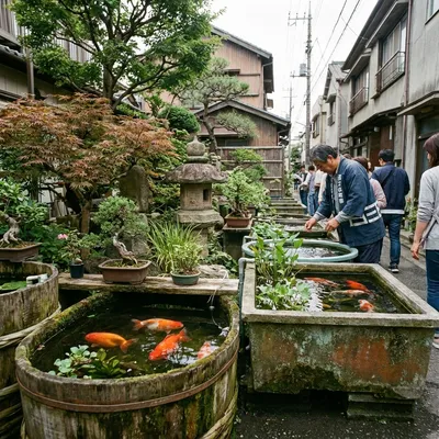 江戸川金魚