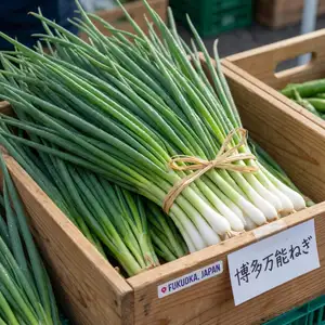 博多万能ねぎ
