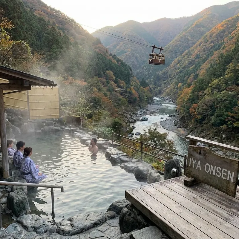 祖谷温泉