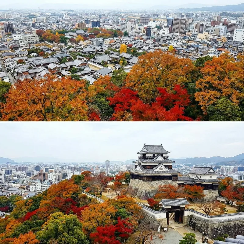 松山城(伊予)