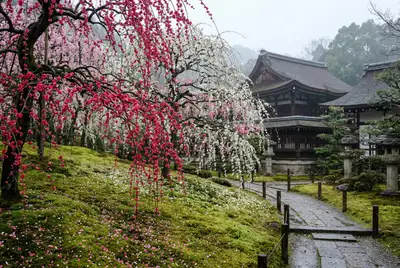 城南宮