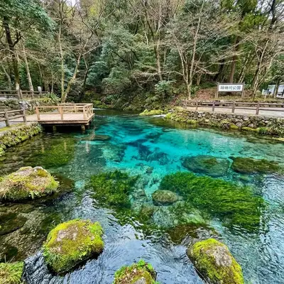 柿田川