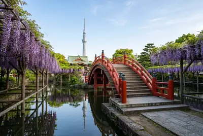 亀戸天神社
