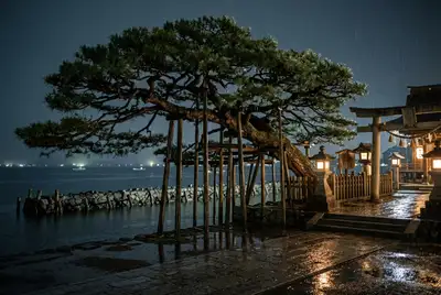 唐崎夜雨