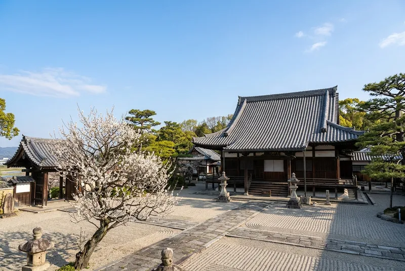 糟屋武則