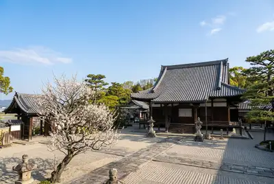 糟屋武則