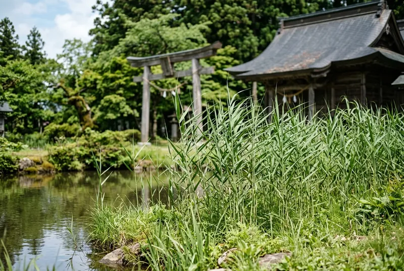 片葉の芦