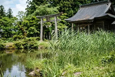 片葉の芦