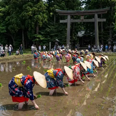 日本三大御田植祭