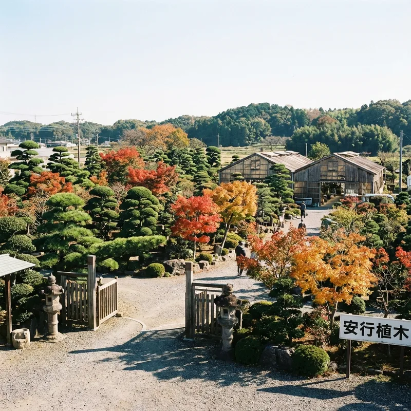 川口市安行