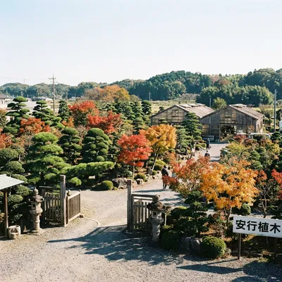 川口市安行