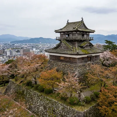 丸岡城
