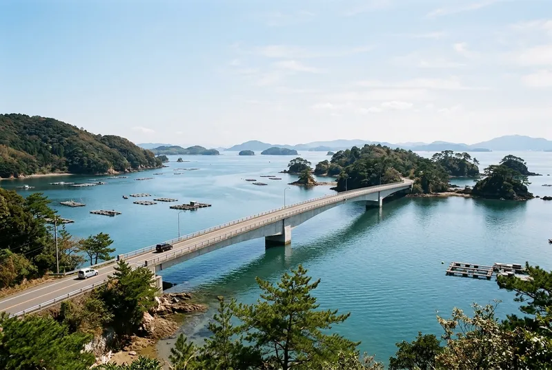 中の橋