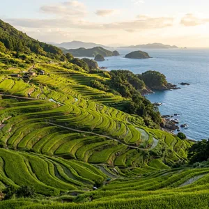 大浦の棚田