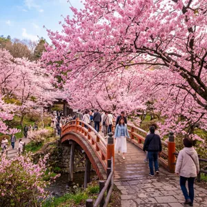 高遠城址公園
