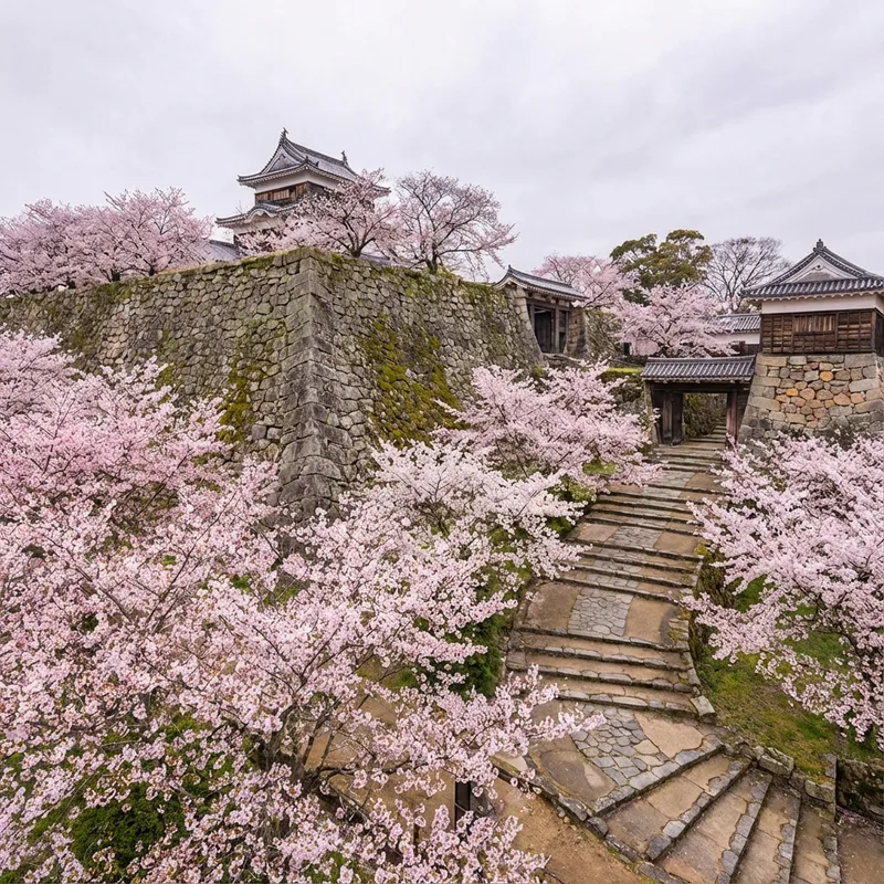 津山城