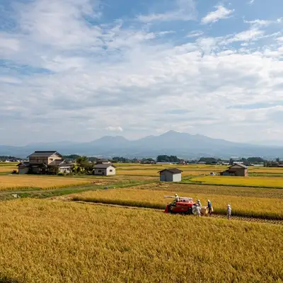 矢吹（矢吹ヶ原）