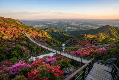 八幡温泉