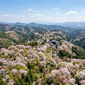 吉野山