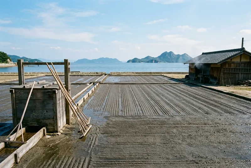 坂出塩田