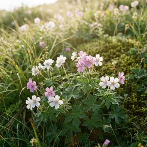 日本三大民間薬