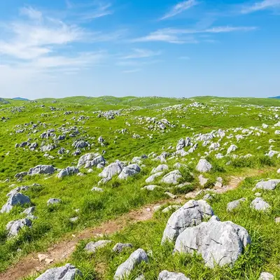 日本三大カルスト