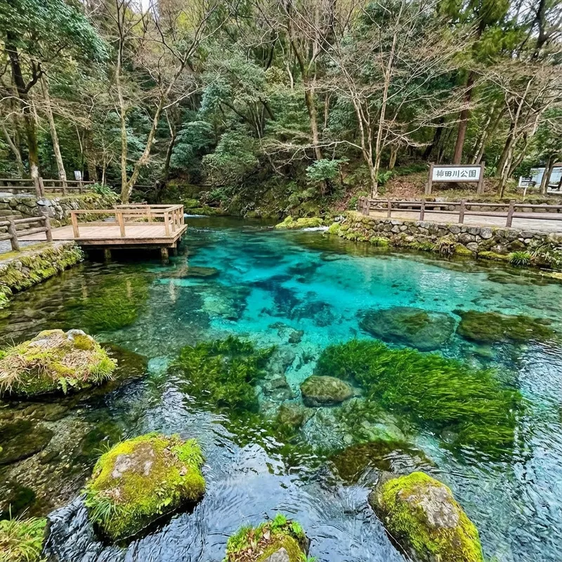 柿田川