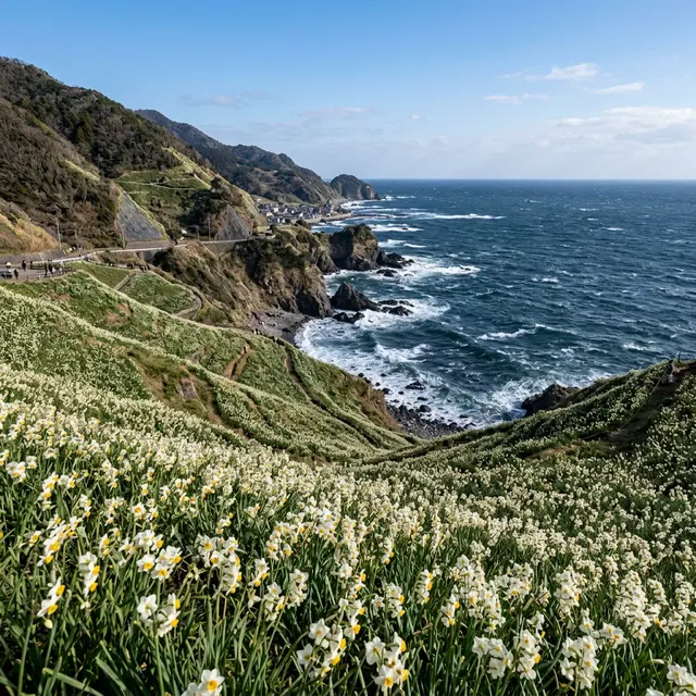 越前海岸