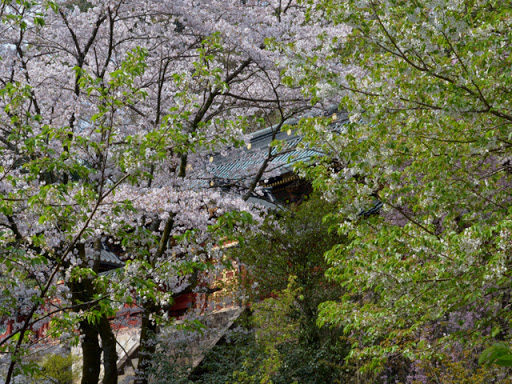 静岡浅間神社