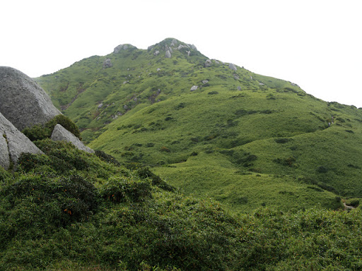 宮ノ浦岳