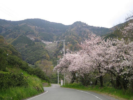 野福峠