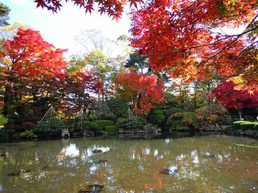 もみじ公園