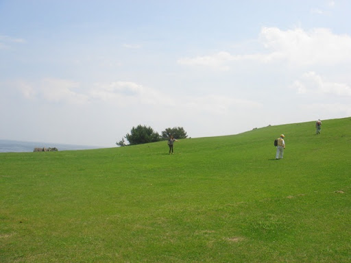 種差海岸