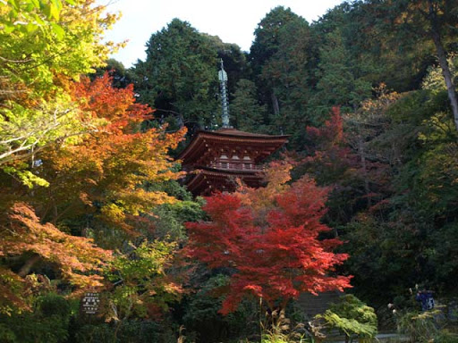 浄瑠璃寺