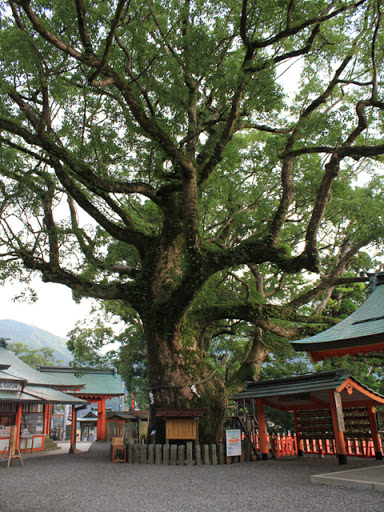 熊野那智大社