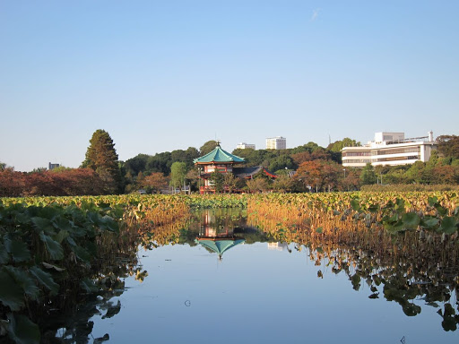 上野恩賜公園