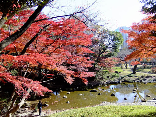 小石川後楽園